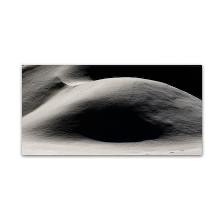 Trademark Fine Art Kurt Shaffer 'Abstract Snow Mound 4' Canvas Art, 24x47 KS01083-C2447GG